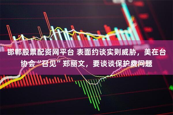 邯郸股票配资网平台 表面约谈实则威胁，美在台协会“召见”郑丽文，要谈谈保护费问题