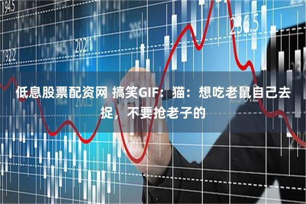 低息股票配资网 搞笑GIF：猫：想吃老鼠自己去捉，不要抢老子的