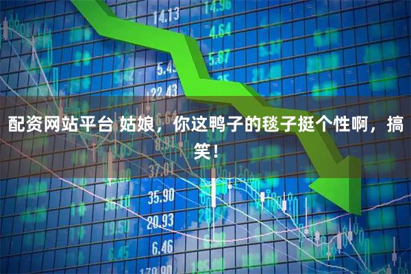 配资网站平台 姑娘，你这鸭子的毯子挺个性啊，搞笑！